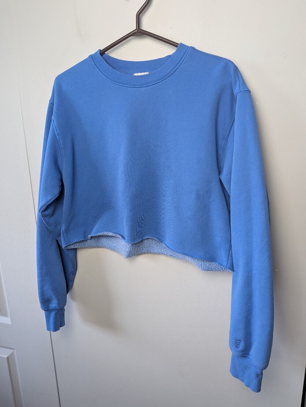 ARITZIA TNA Cozy Fleece Perfect Crewneck Long Sleeve Crop Sweater Size S Blue